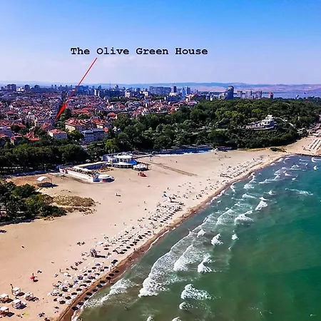 The Olive House - Center - Free Parking Appartement *
