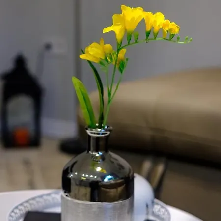 The Olive House - Center - Free Parking Burgas