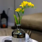 The Olive House - Center - Free Parking Burgas