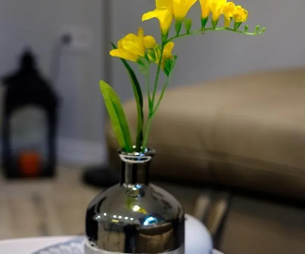 The Olive House - Center - Free Parking Burgas