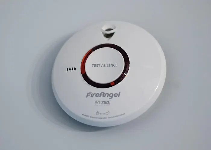 The Olive House - Center - Free Parking *